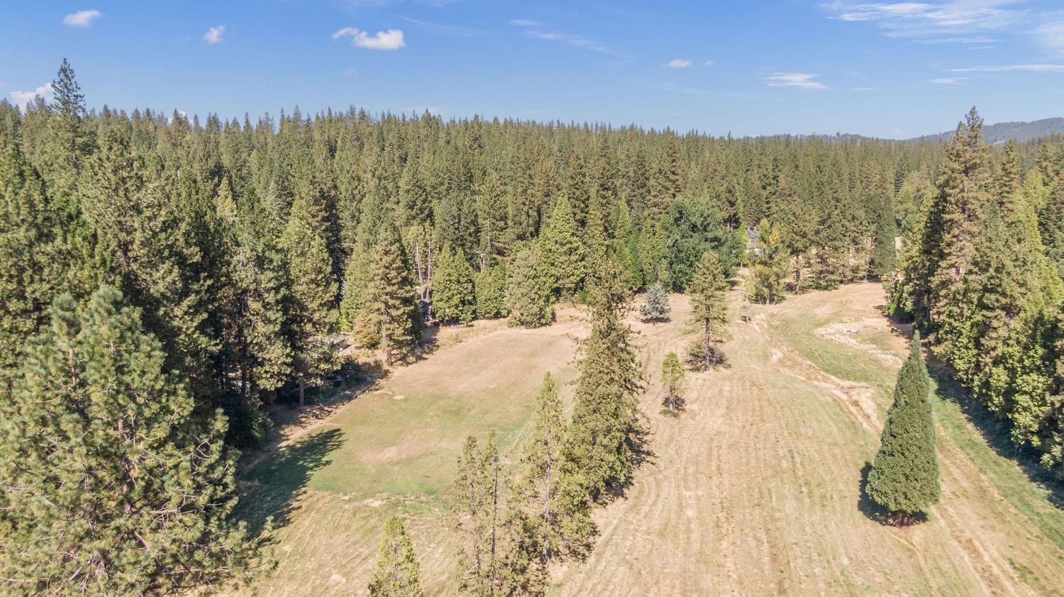 Detail Gallery Image 71 of 72 For 1801 Pine Dr, Arnold,  CA 95223 - 3 Beds | 2 Baths