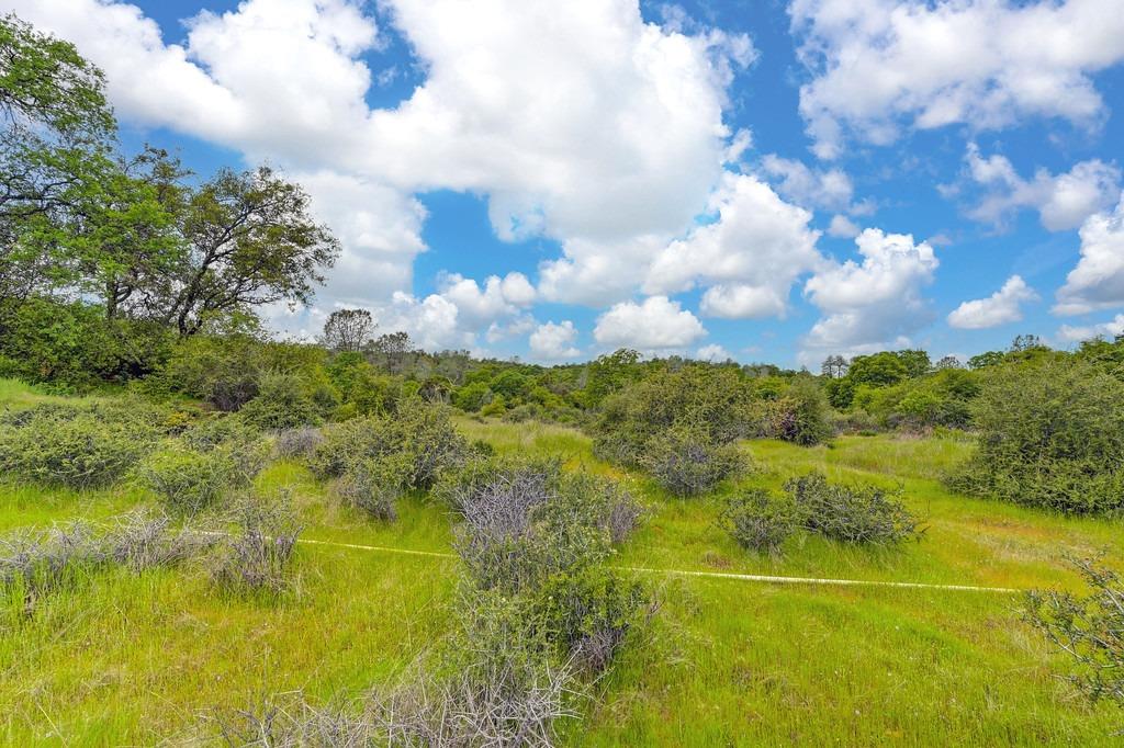 Detail Gallery Image 34 of 73 For 4822 Salmon Falls Rd, Pilot Hill,  CA 95664 - – Beds | – Baths