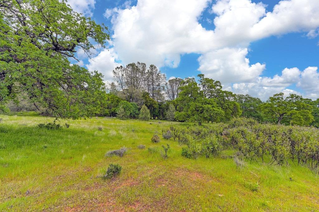 Detail Gallery Image 29 of 73 For 4822 Salmon Falls Rd, Pilot Hill,  CA 95664 - – Beds | – Baths