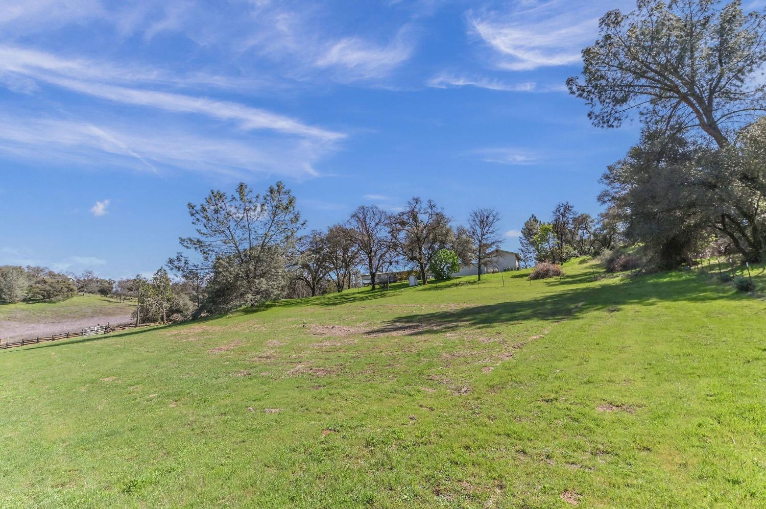 Detail Gallery Image 66 of 96 For 6772 Fricot City Rd, San Andreas,  CA 95249 - 3 Beds | 2 Baths