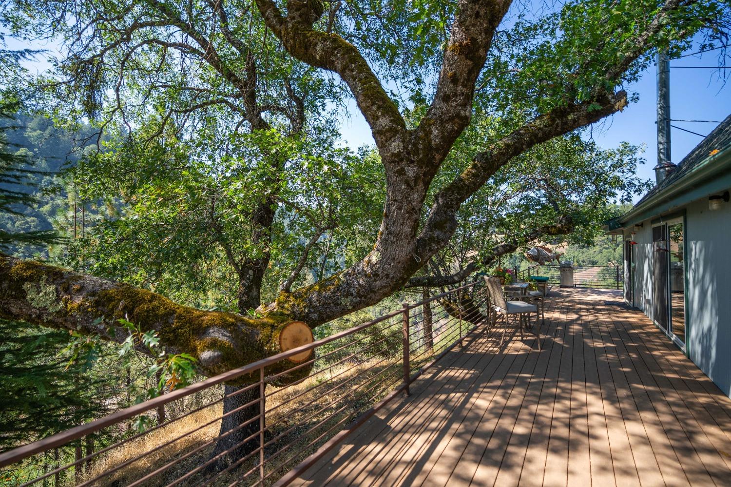 Detail Gallery Image 6 of 51 For 2883 N Railroad Flat Rd, Wilseyville,  CA 95257 - 4 Beds | 0/4 Baths
