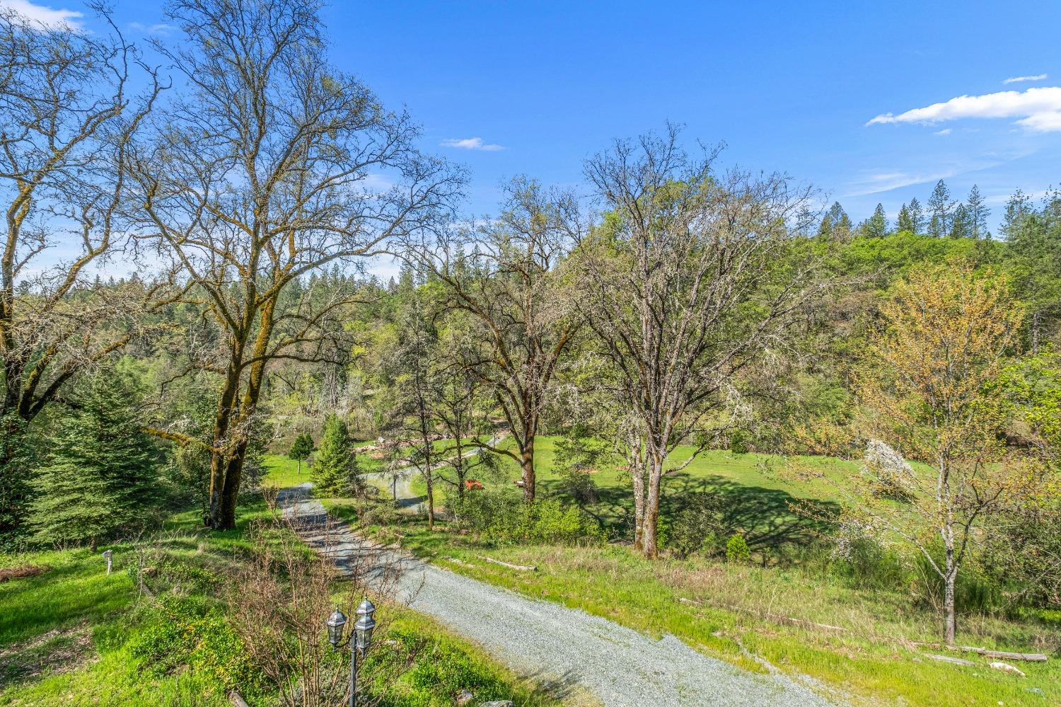 Detail Gallery Image 62 of 70 For 4271 Marshall Rd, Garden Valley,  CA 95633 - 3 Beds | 4 Baths