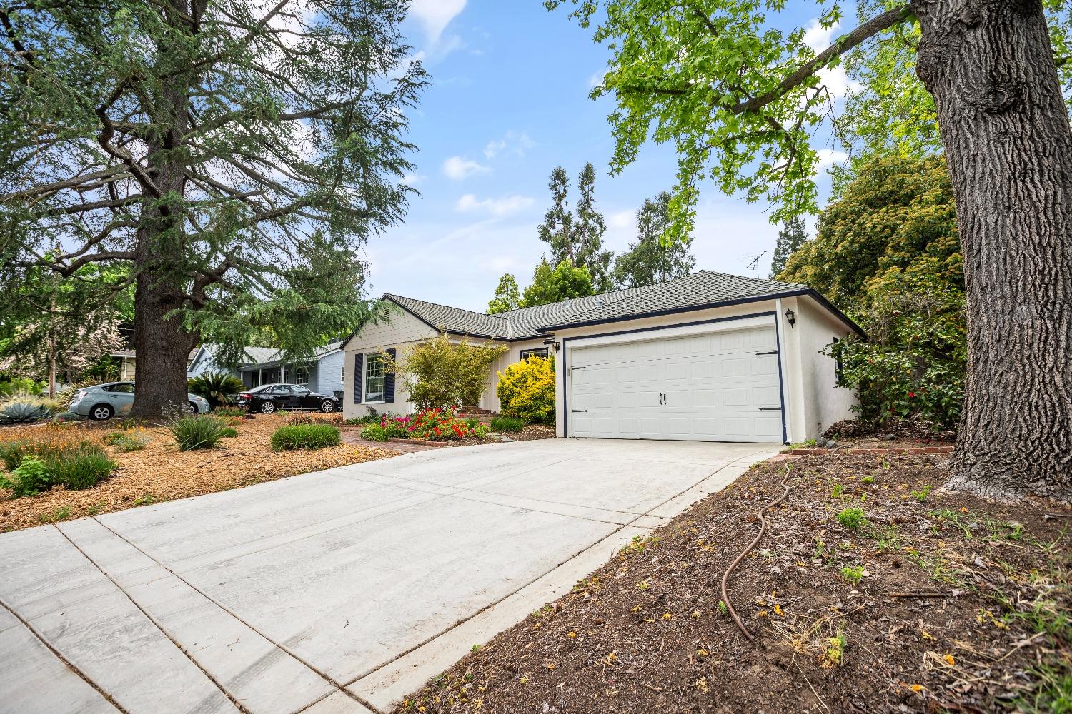 Detail Gallery Image 59 of 60 For 4820 Alturas Way, Sacramento,  CA 95822 - 3 Beds | 2 Baths