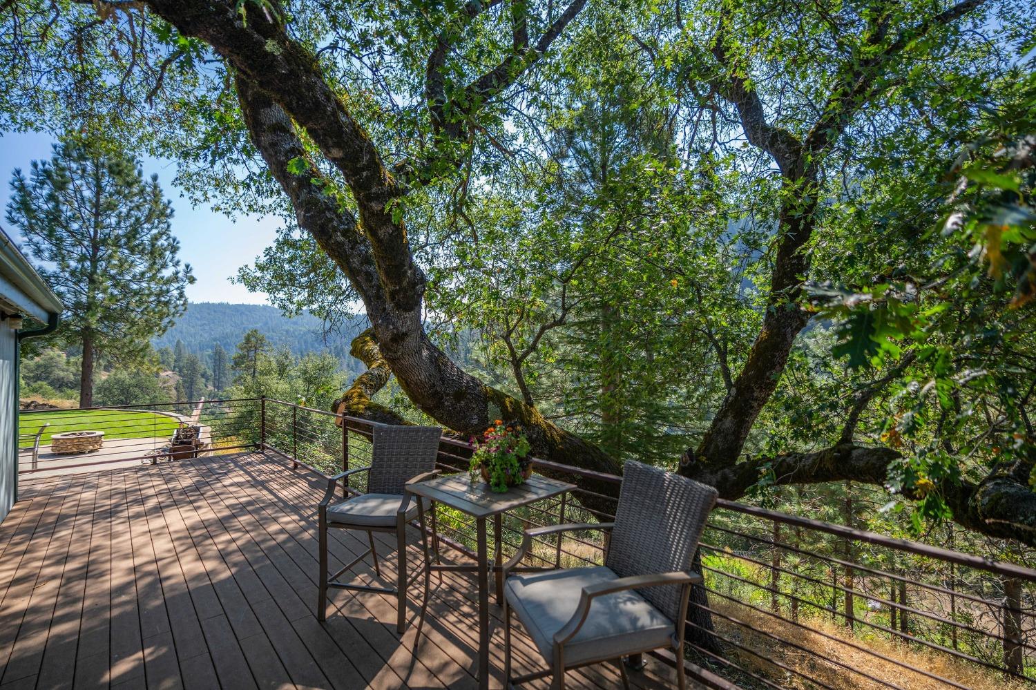 Detail Gallery Image 1 of 51 For 2883 N Railroad Flat Rd, Wilseyville,  CA 95257 - 4 Beds | 0/4 Baths