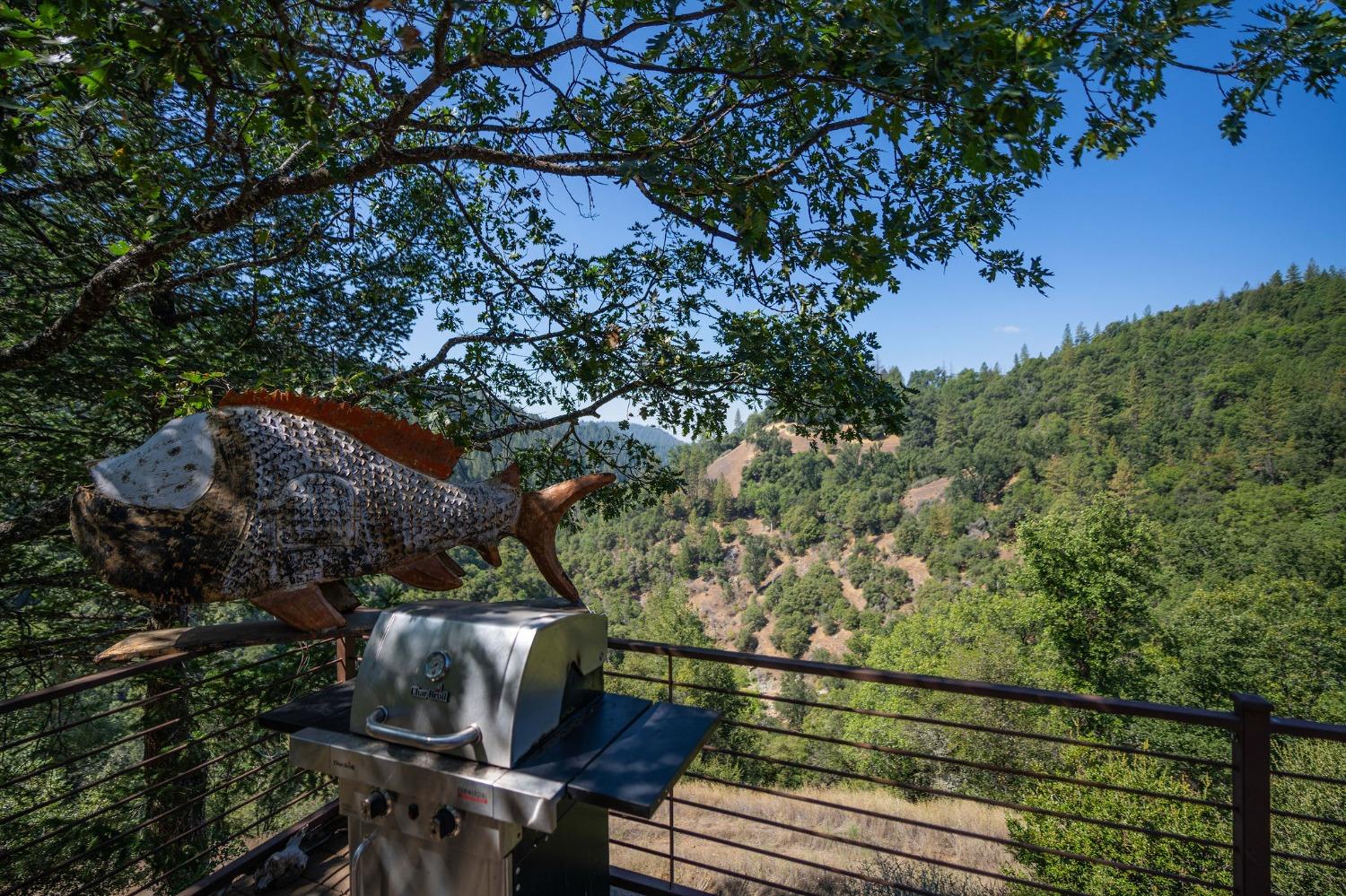 Detail Gallery Image 7 of 51 For 2883 N Railroad Flat Rd, Wilseyville,  CA 95257 - 4 Beds | 0/4 Baths