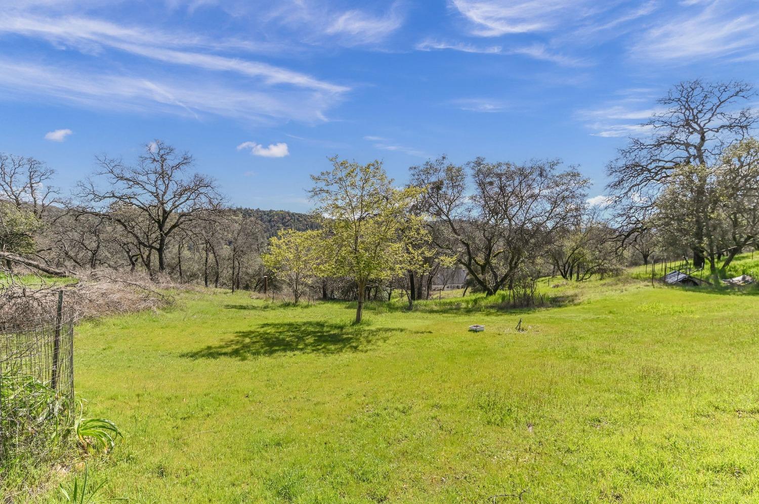 Detail Gallery Image 76 of 96 For 6772 Fricot City Rd, San Andreas,  CA 95249 - 3 Beds | 2 Baths