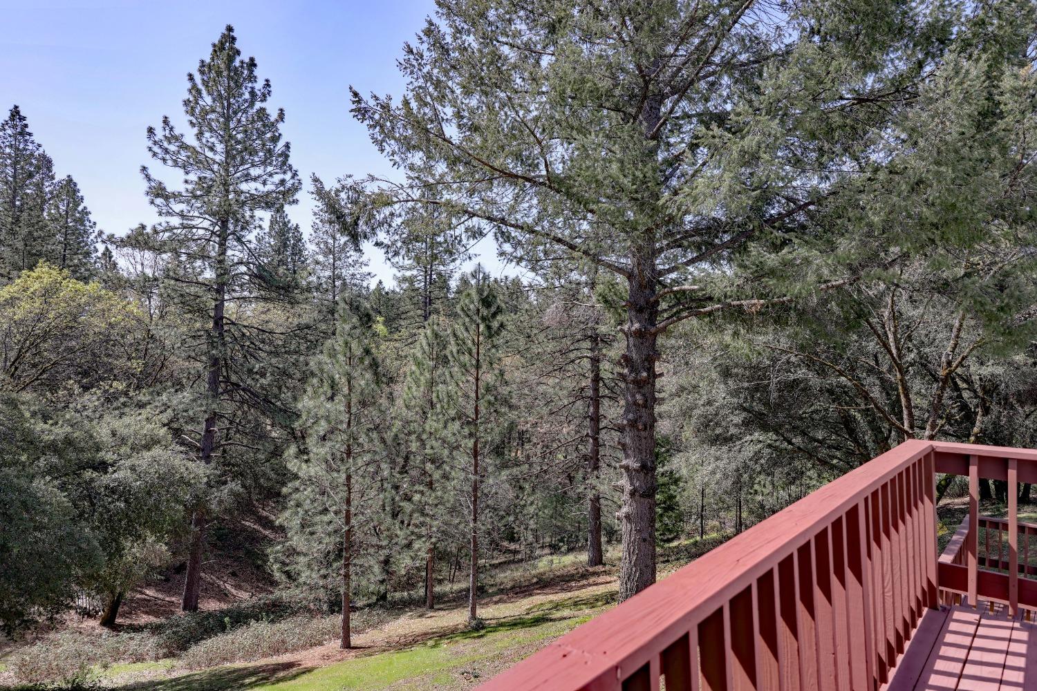 Detail Gallery Image 9 of 46 For 450 Hill Haven Dr, Colfax,  CA 95713 - 3 Beds | 2/1 Baths