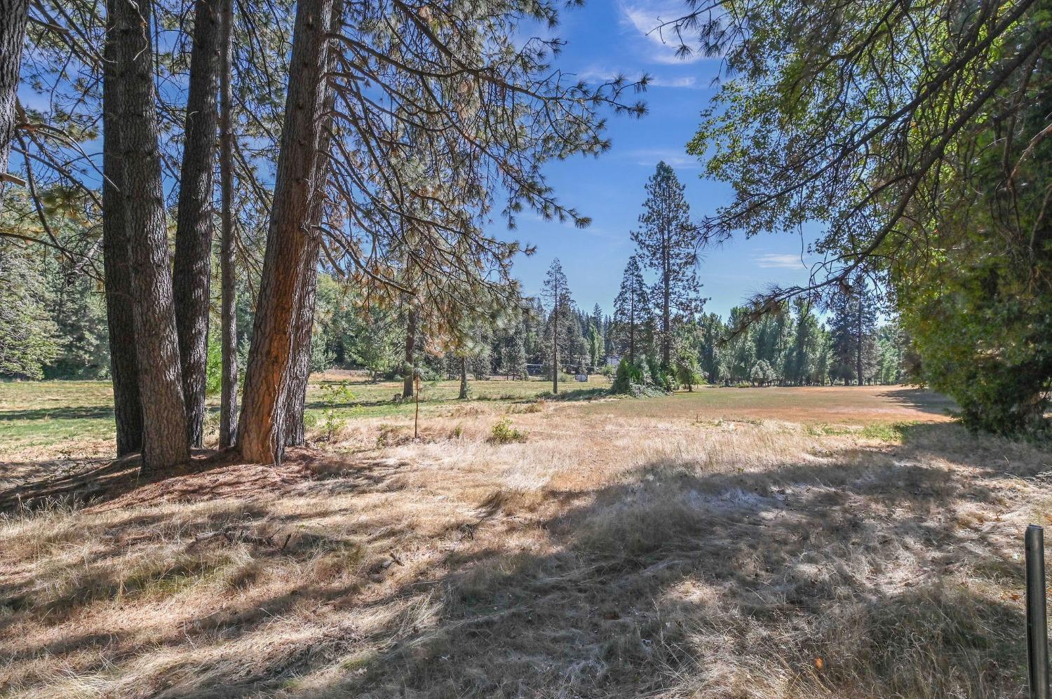 Detail Gallery Image 64 of 72 For 1801 Pine Dr, Arnold,  CA 95223 - 3 Beds | 2 Baths