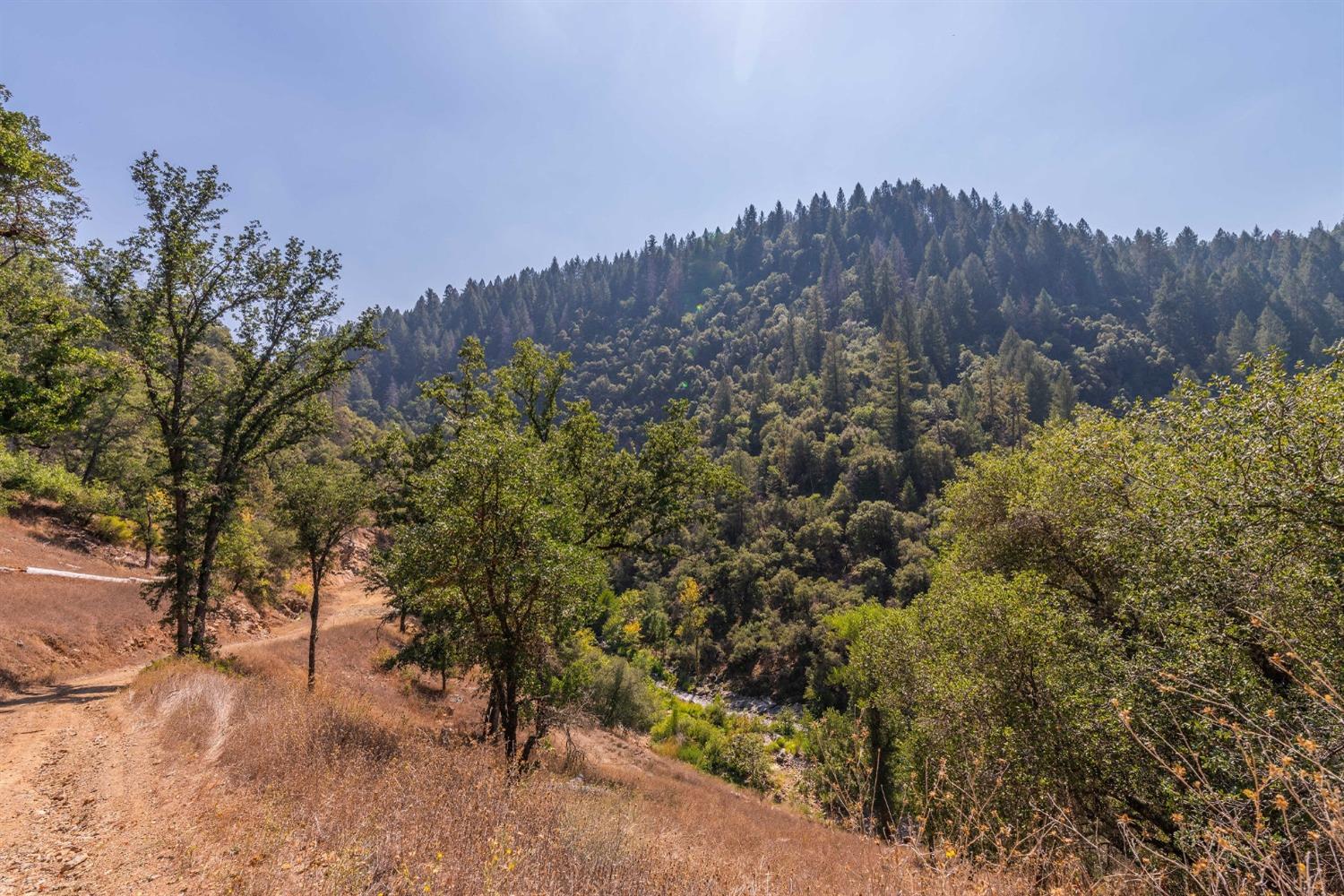 Detail Gallery Image 48 of 51 For 2883 N Railroad Flat Rd, Wilseyville,  CA 95257 - 4 Beds | 0/4 Baths
