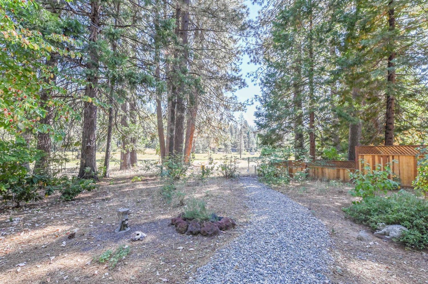 Detail Gallery Image 61 of 72 For 1801 Pine Dr, Arnold,  CA 95223 - 3 Beds | 2 Baths
