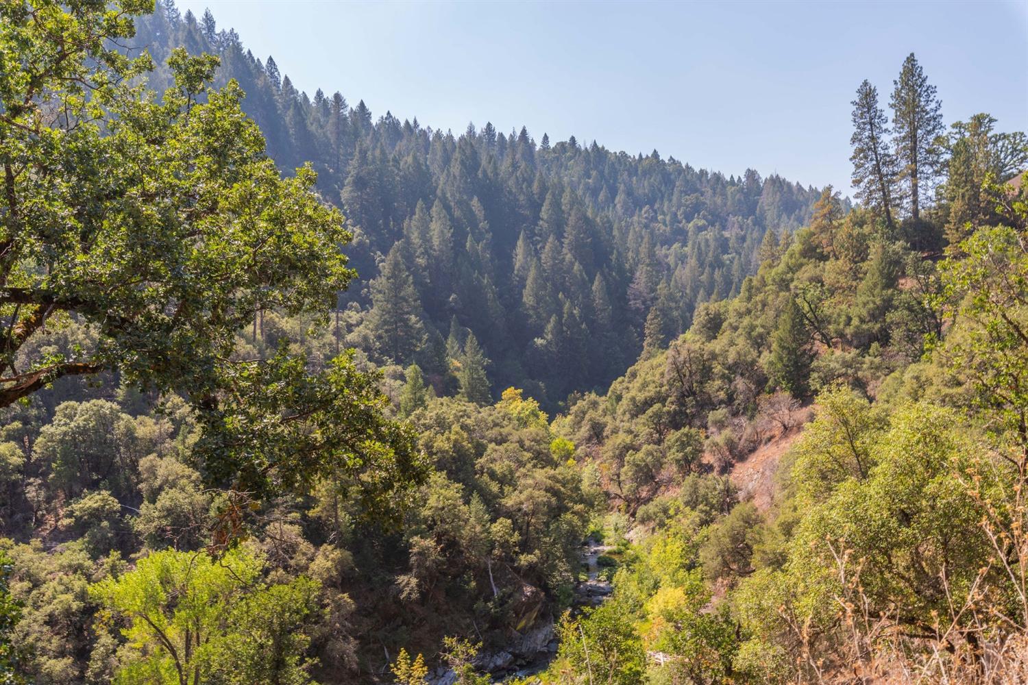 Detail Gallery Image 49 of 51 For 2883 N Railroad Flat Rd, Wilseyville,  CA 95257 - 4 Beds | 0/4 Baths