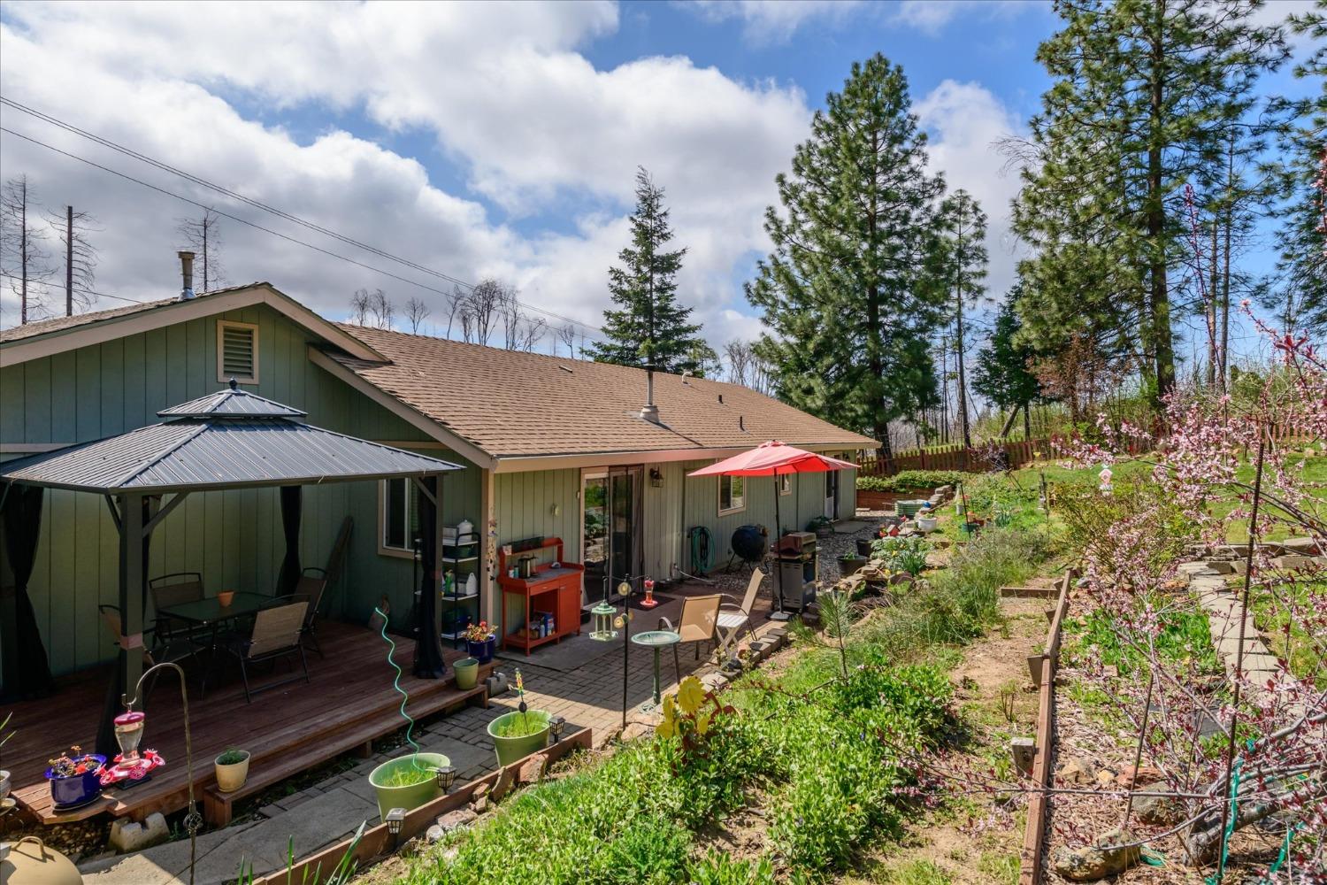 Meadow Glen Drive, Grizzly Flats, California image 21
