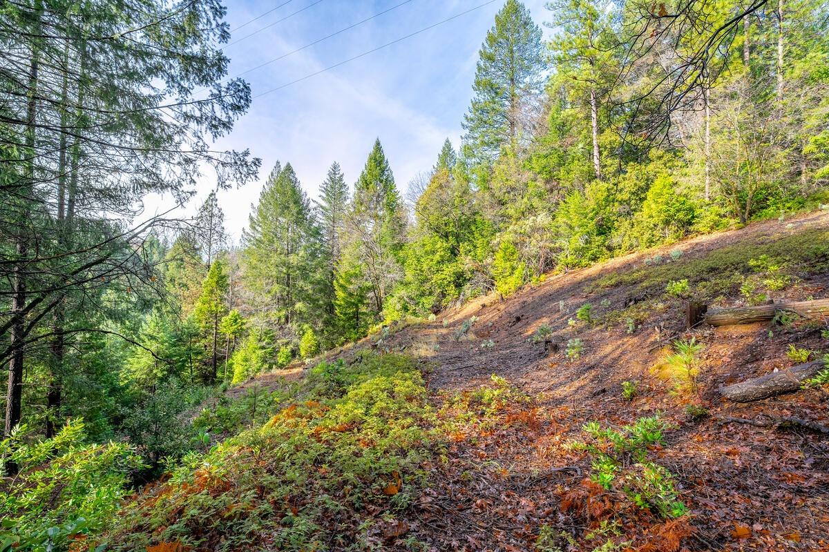 Detail Gallery Image 50 of 71 For 2160 Nelson Rd, Camino,  CA 95709 - 3 Beds | 2 Baths