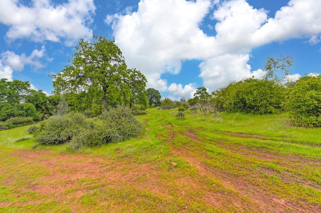 Detail Gallery Image 28 of 73 For 4822 Salmon Falls Rd, Pilot Hill,  CA 95664 - – Beds | – Baths