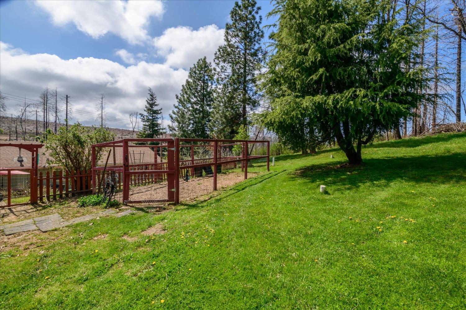 Meadow Glen Drive, Grizzly Flats, California image 25