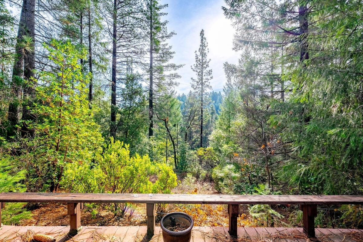 Detail Gallery Image 45 of 71 For 2160 Nelson Rd, Camino,  CA 95709 - 3 Beds | 2 Baths