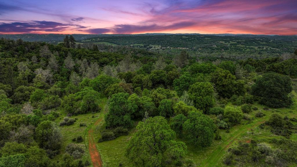 Detail Gallery Image 55 of 73 For 4822 Salmon Falls Rd, Pilot Hill,  CA 95664 - – Beds | – Baths