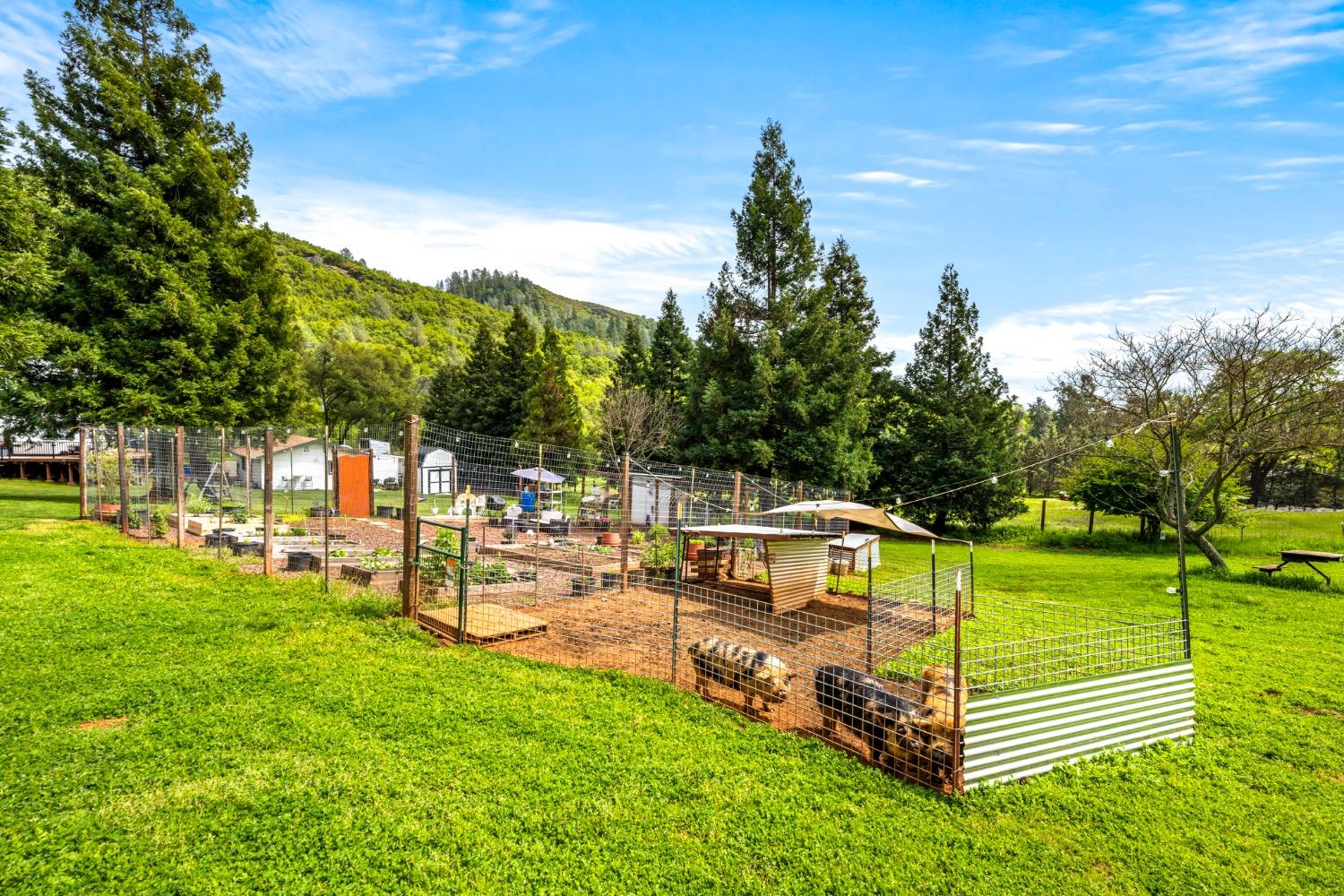 Detail Gallery Image 65 of 85 For 6020 French Creek Rd, Shingle Springs,  CA 95682 - 3 Beds | 3 Baths