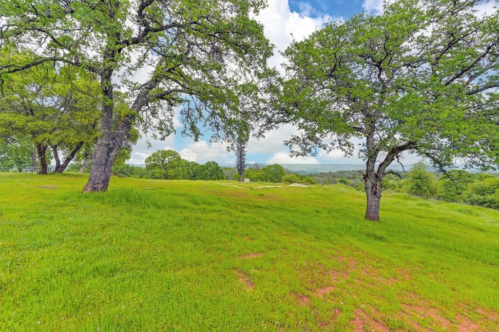 Detail Gallery Image 53 of 73 For 4822 Salmon Falls Rd, Pilot Hill,  CA 95664 - – Beds | – Baths