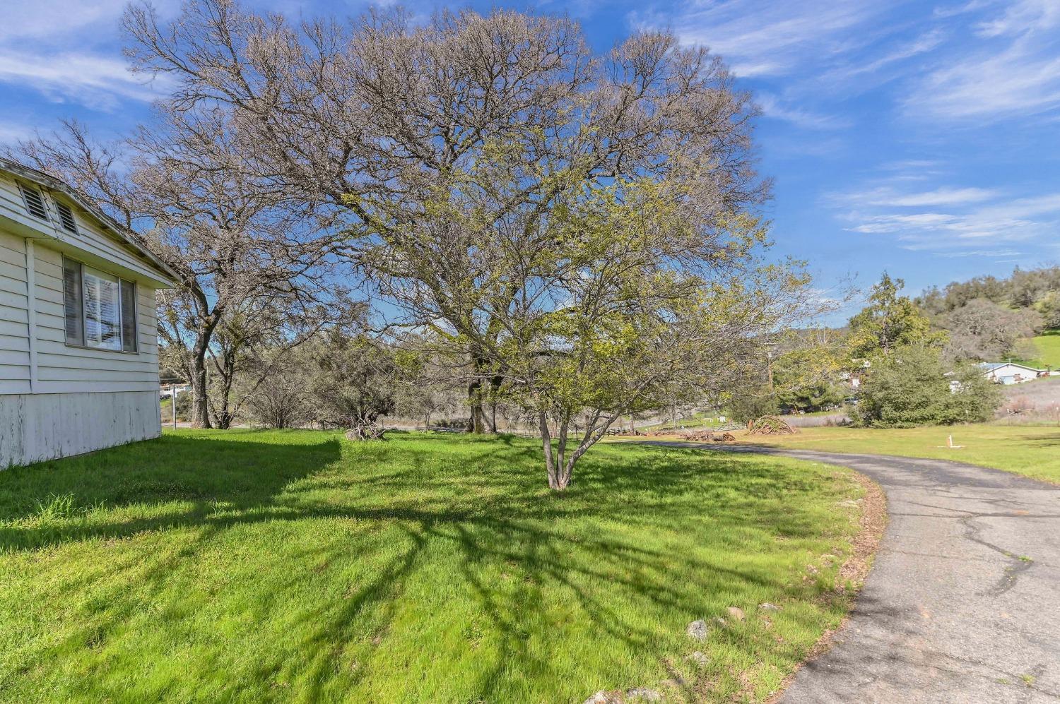 Detail Gallery Image 6 of 96 For 6772 Fricot City Rd, San Andreas,  CA 95249 - 3 Beds | 2 Baths
