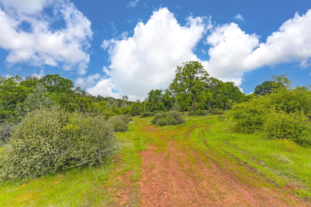 Detail Gallery Image 27 of 73 For 4822 Salmon Falls Rd, Pilot Hill,  CA 95664 - – Beds | – Baths
