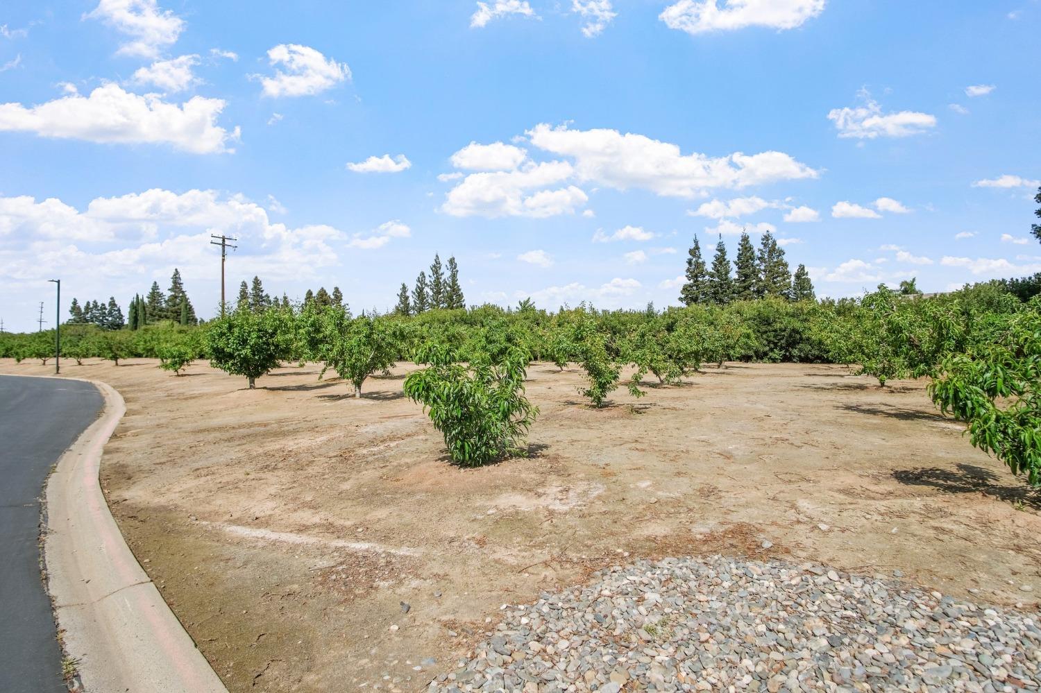 Detail Gallery Image 23 of 31 For 1500 Held Dr 124, Modesto,  CA 95355 - 3 Beds | 2 Baths