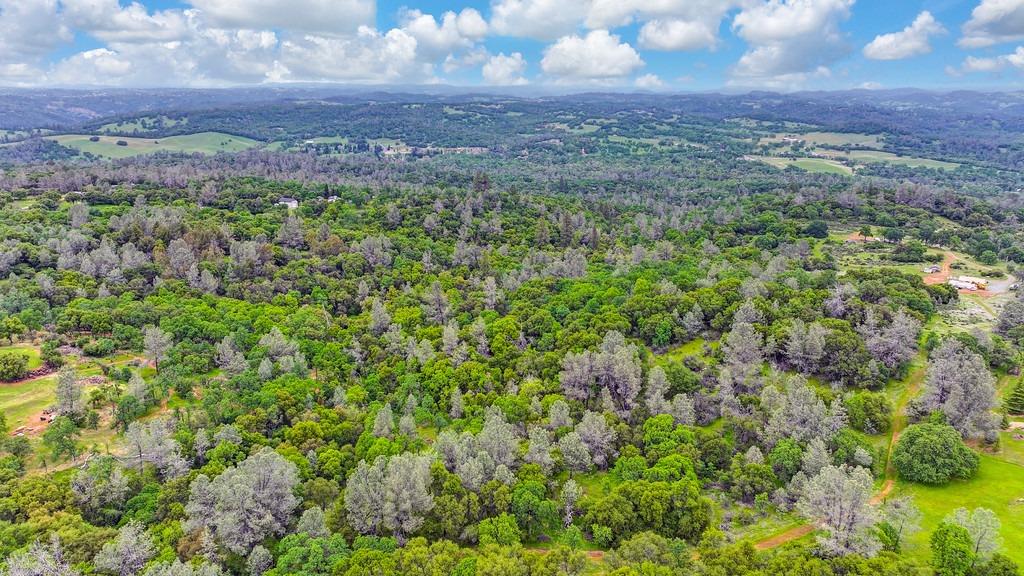 Detail Gallery Image 56 of 73 For 4822 Salmon Falls Rd, Pilot Hill,  CA 95664 - – Beds | – Baths