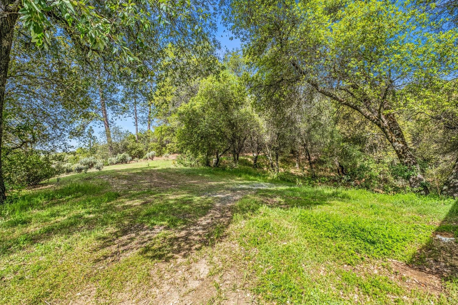 Detail Gallery Image 30 of 36 For 16315 Mount Whitney Dr, Fiddletown,  CA 95629 - 2 Beds | 2 Baths