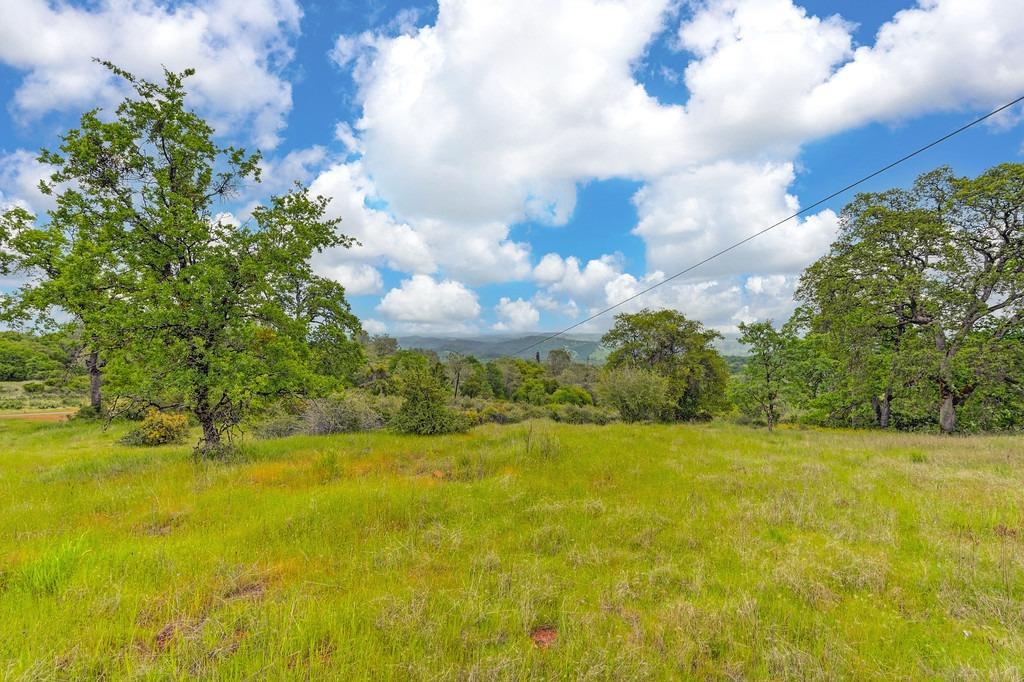 Detail Gallery Image 33 of 73 For 4822 Salmon Falls Rd, Pilot Hill,  CA 95664 - – Beds | – Baths