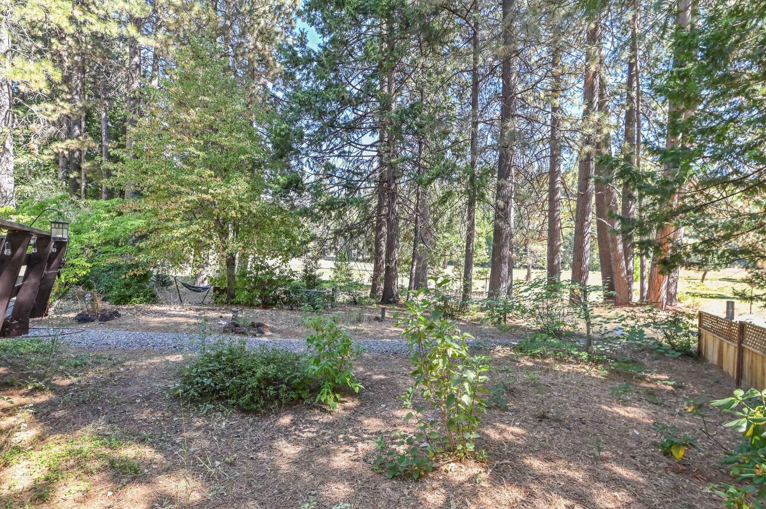 Detail Gallery Image 60 of 72 For 1801 Pine Dr, Arnold,  CA 95223 - 3 Beds | 2 Baths