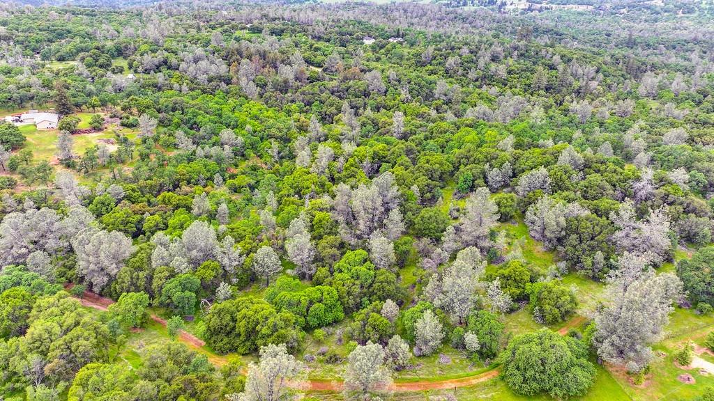 Detail Gallery Image 65 of 73 For 4822 Salmon Falls Rd, Pilot Hill,  CA 95664 - – Beds | – Baths