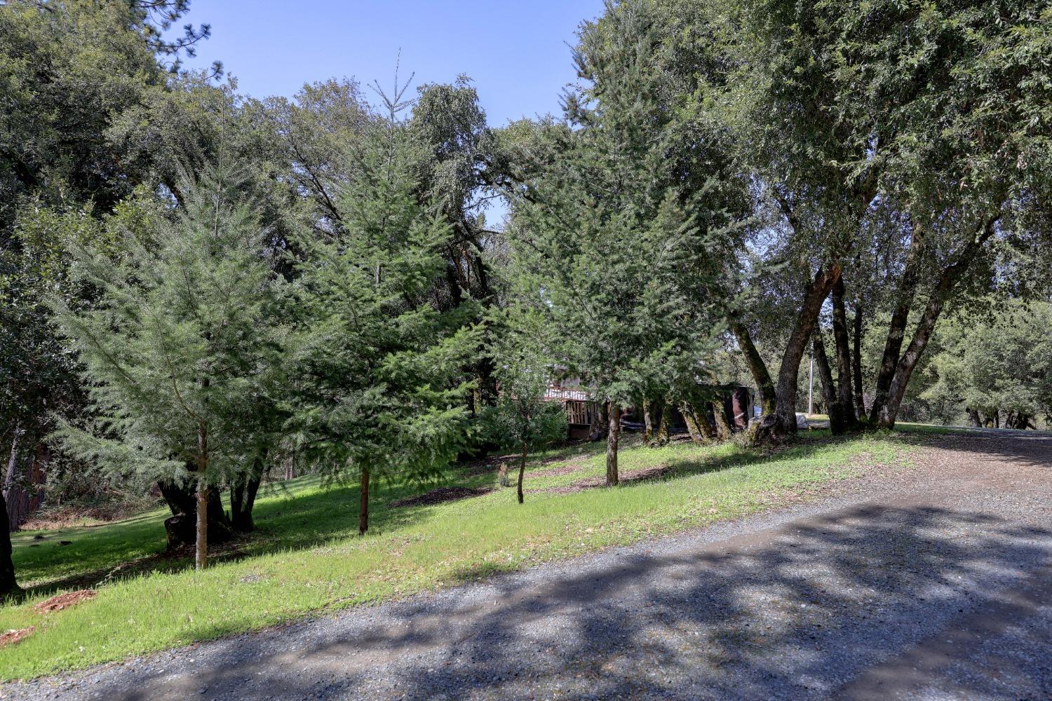 Detail Gallery Image 4 of 46 For 450 Hill Haven Dr, Colfax,  CA 95713 - 3 Beds | 2/1 Baths
