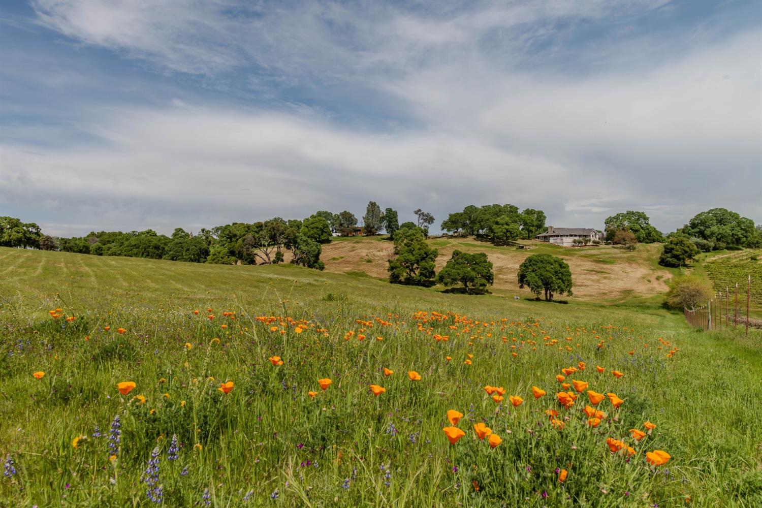 Detail Gallery Image 91 of 97 For 10731 Shenandoah Rd, Plymouth,  CA 95669 - 3 Beds | 2/1 Baths