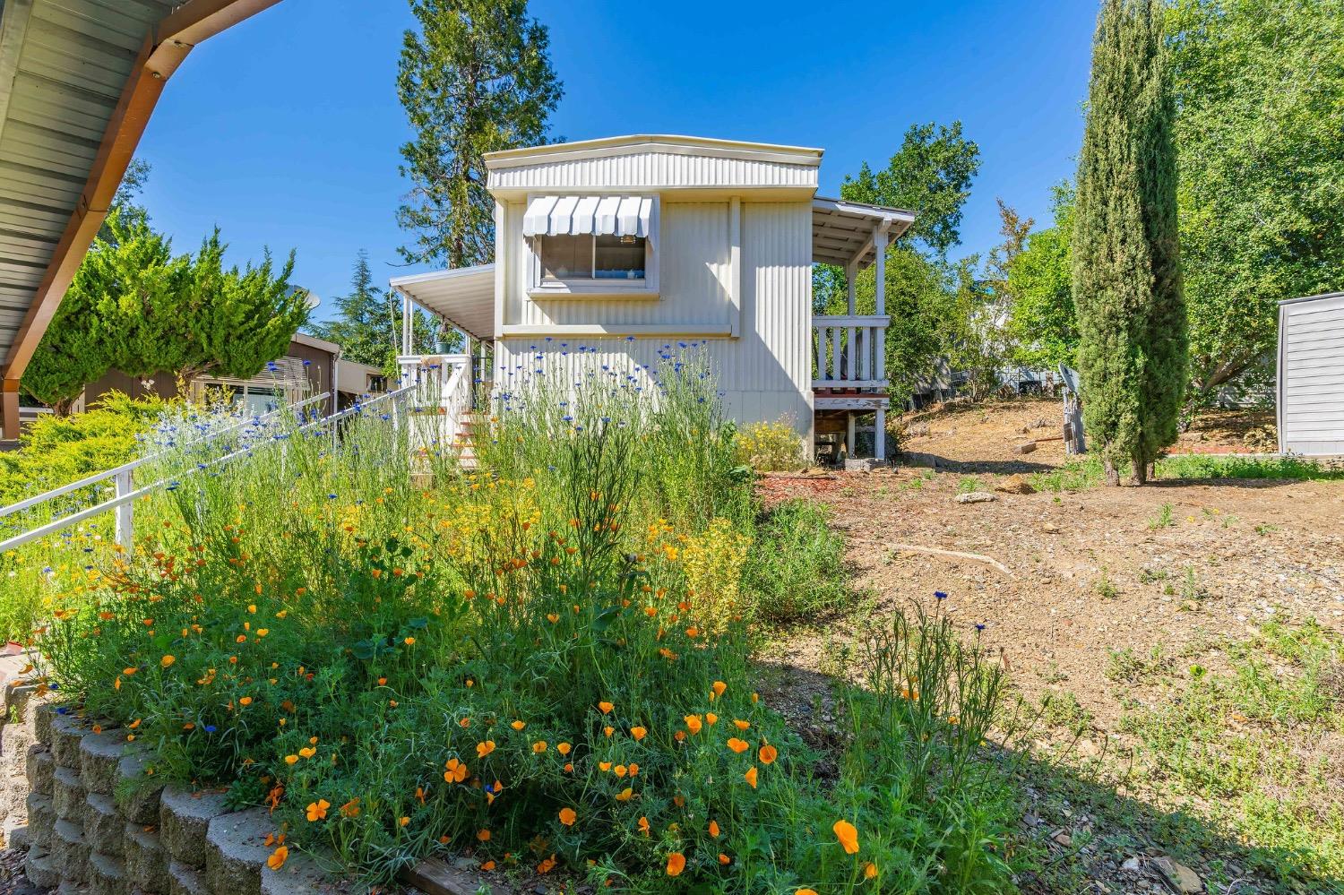 Detail Gallery Image 2 of 20 For 150 Clinton Rd 38, Jackson,  CA 95642 - 2 Beds | 1 Baths