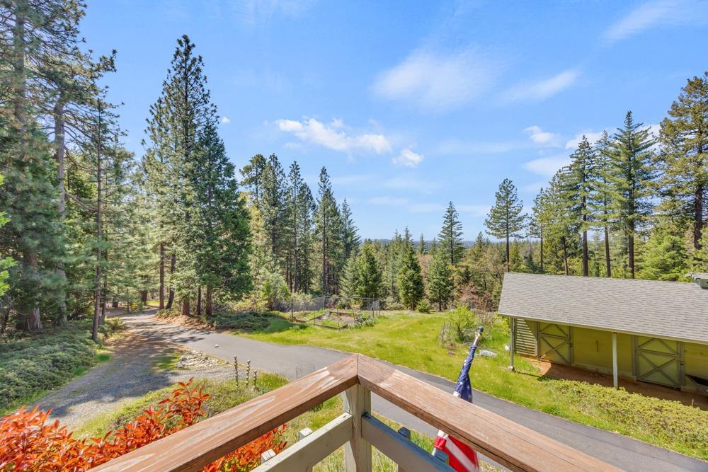 Detail Gallery Image 52 of 63 For 1867 Forebay Rd, Pollock Pines,  CA 95726 - 3 Beds | 3 Baths