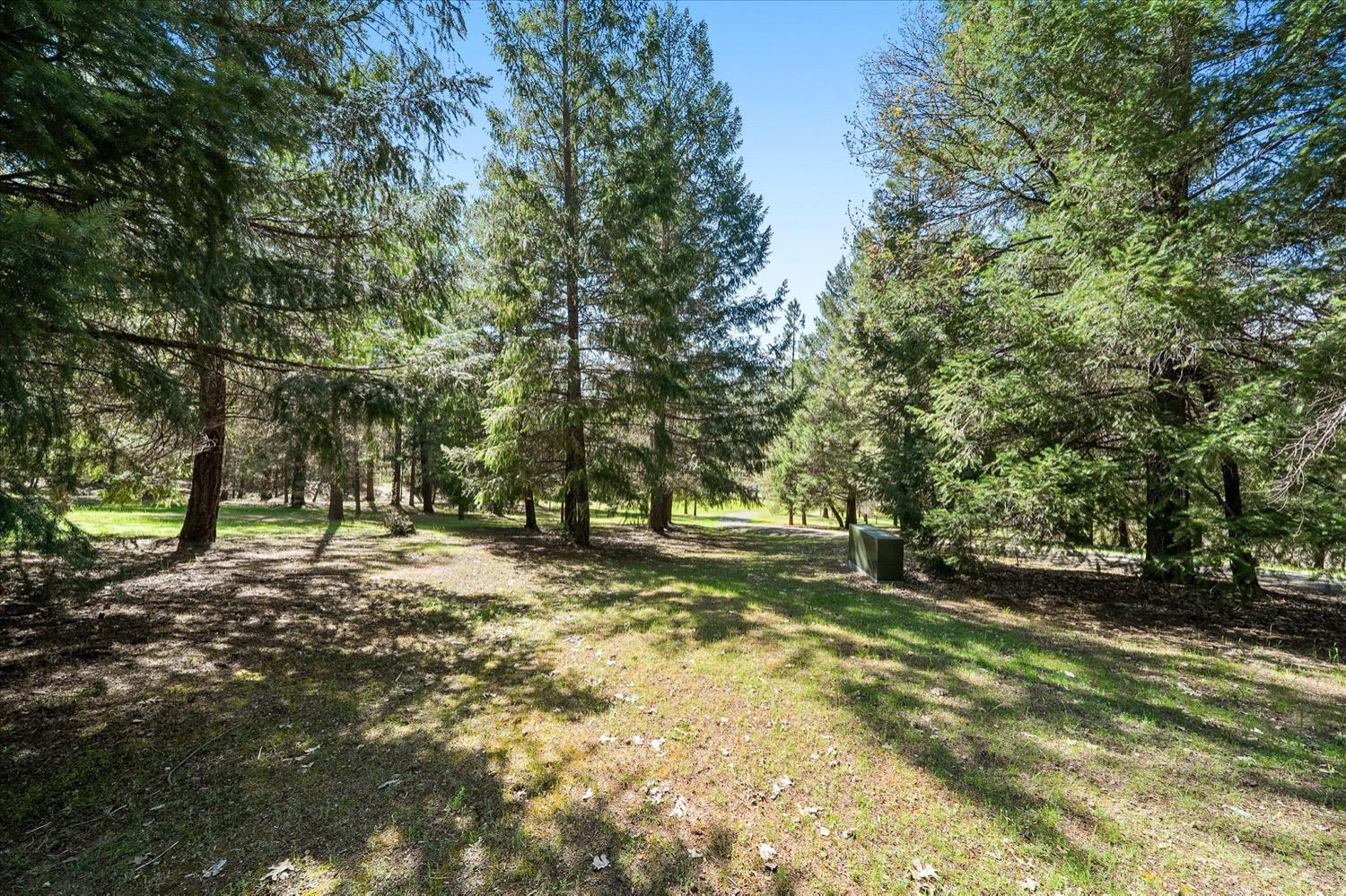 Detail Gallery Image 75 of 87 For 2995 Goose Ranch, Lewiston,  CA 96052 - 3 Beds | 2/1 Baths