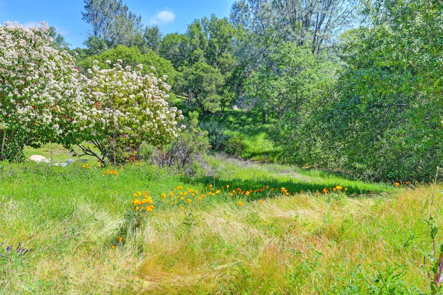 Detail Gallery Image 46 of 48 For 8925 Derby Ct, Newcastle,  CA 95658 - 3 Beds | 2/1 Baths