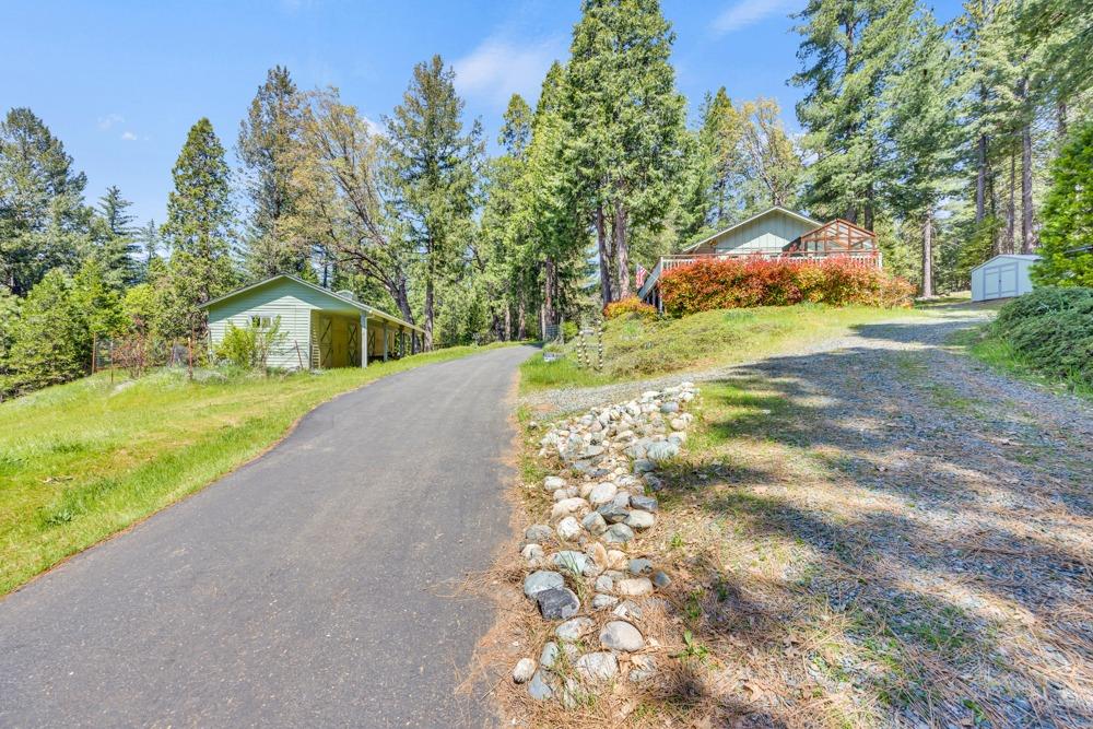 Detail Gallery Image 3 of 63 For 1867 Forebay Rd, Pollock Pines,  CA 95726 - 3 Beds | 3 Baths