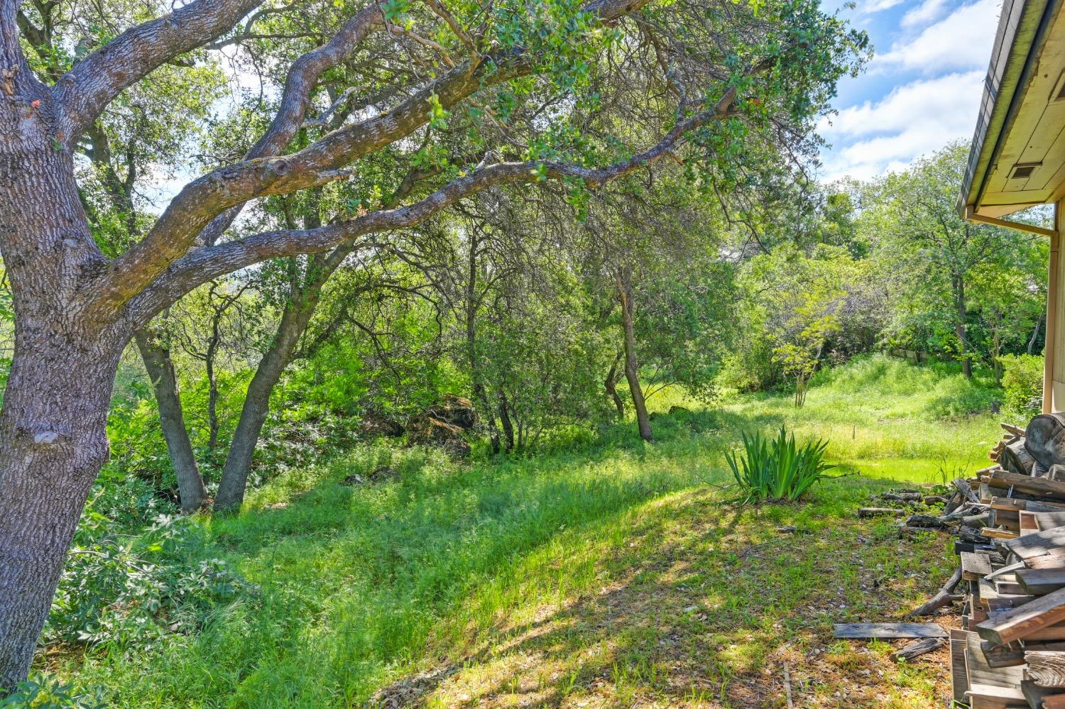 Detail Gallery Image 44 of 48 For 8925 Derby Ct, Newcastle,  CA 95658 - 3 Beds | 2/1 Baths