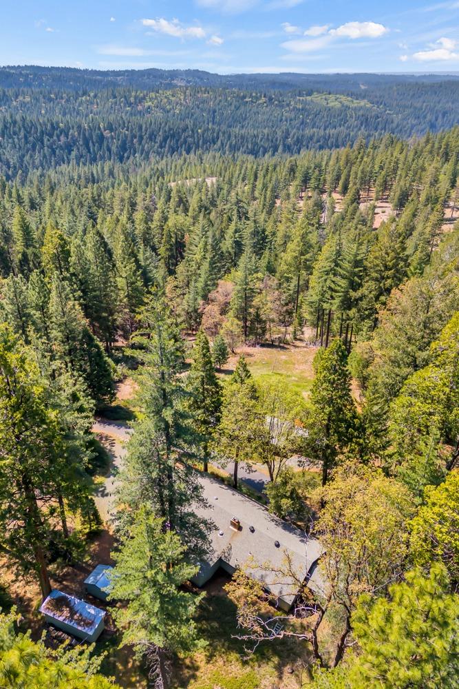 Detail Gallery Image 56 of 63 For 1867 Forebay Rd, Pollock Pines,  CA 95726 - 3 Beds | 3 Baths