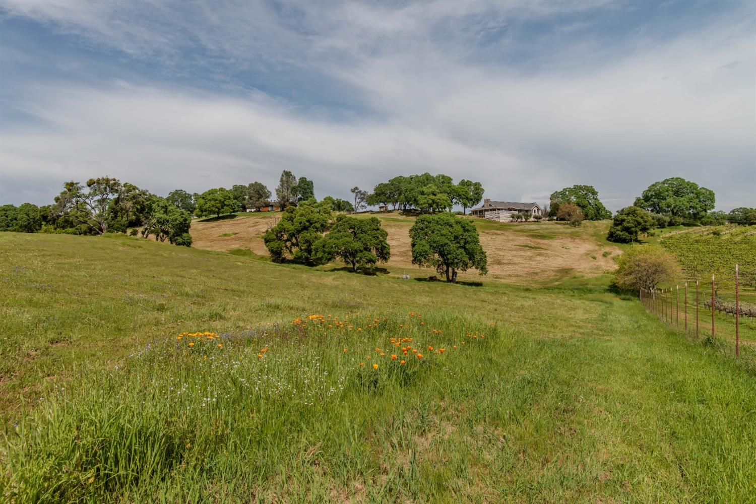 Detail Gallery Image 93 of 97 For 10731 Shenandoah Rd, Plymouth,  CA 95669 - 3 Beds | 2/1 Baths