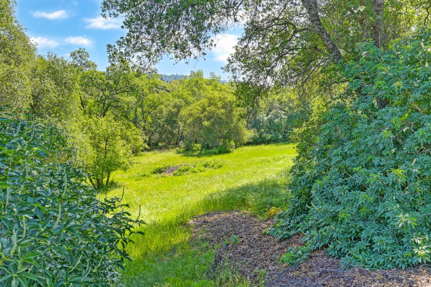 Detail Gallery Image 45 of 48 For 8925 Derby Ct, Newcastle,  CA 95658 - 3 Beds | 2/1 Baths