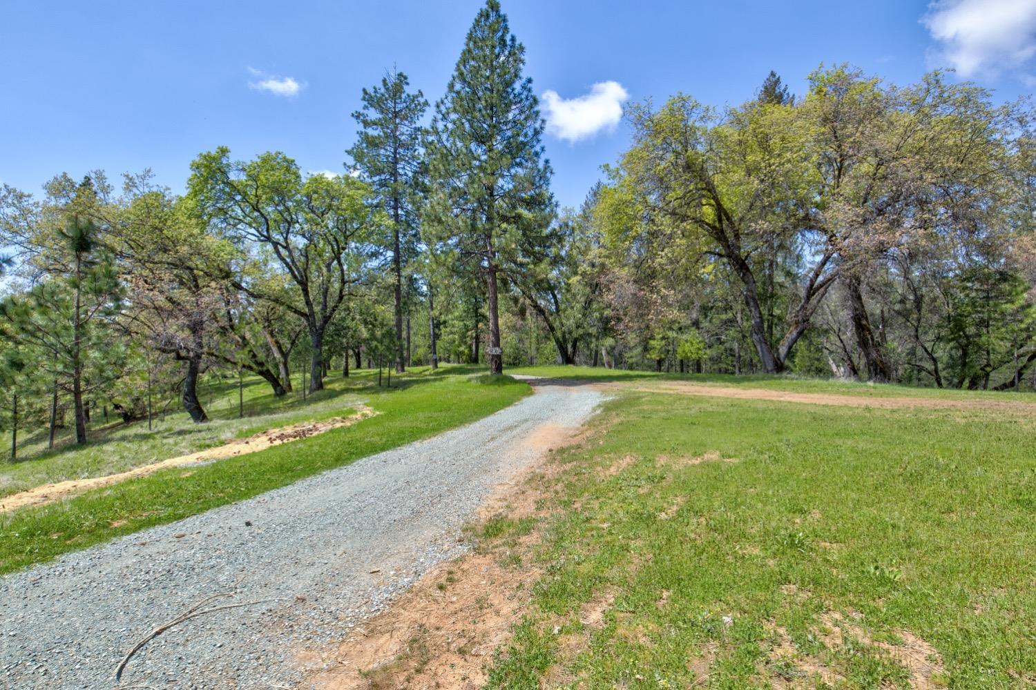 Detail Gallery Image 4 of 99 For 7401 Schaad Rd, Wilseyville,  CA 95257 - 2 Beds | 2 Baths