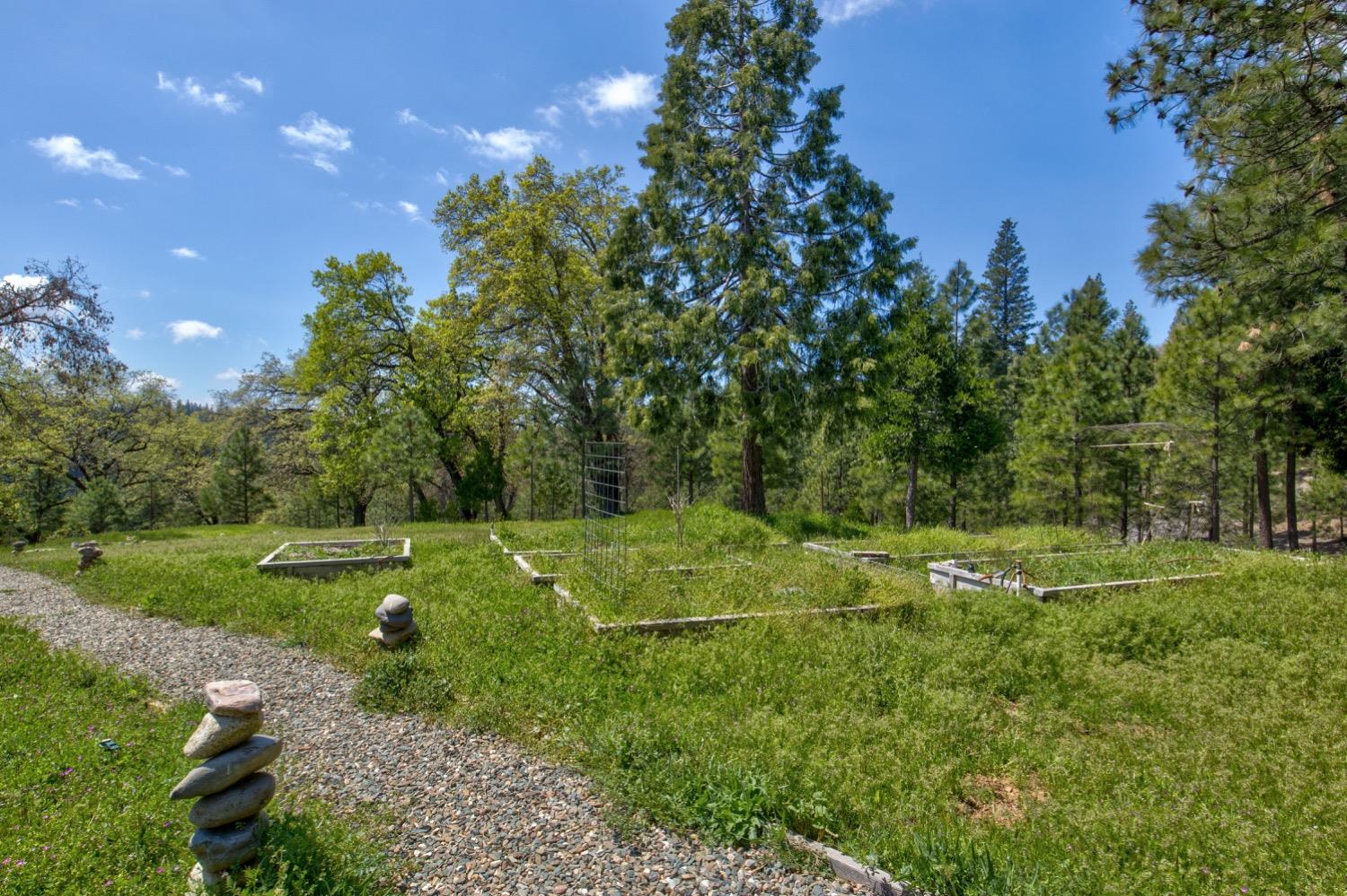 Detail Gallery Image 65 of 99 For 7401 Schaad Rd, Wilseyville,  CA 95257 - 2 Beds | 2 Baths