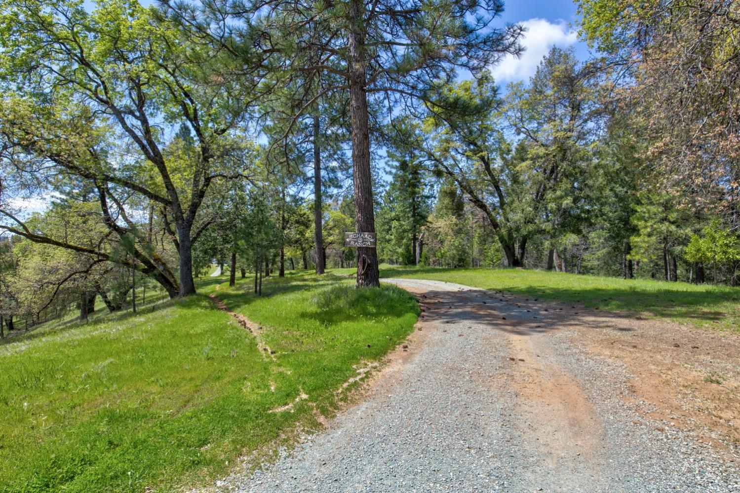 Detail Gallery Image 5 of 99 For 7401 Schaad Rd, Wilseyville,  CA 95257 - 2 Beds | 2 Baths