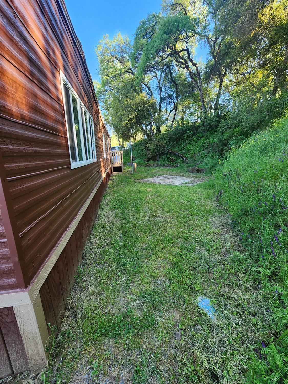 Detail Gallery Image 25 of 32 For 8201 State Highway 49 36, El Dorado,  CA 95623 - 1 Beds | 1 Baths