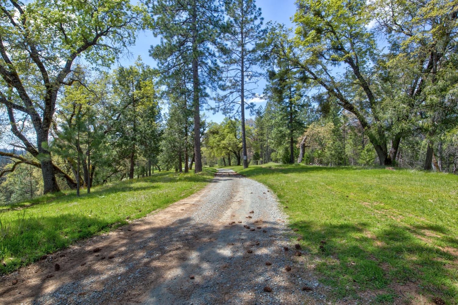 Detail Gallery Image 7 of 99 For 7401 Schaad Rd, Wilseyville,  CA 95257 - 2 Beds | 2 Baths