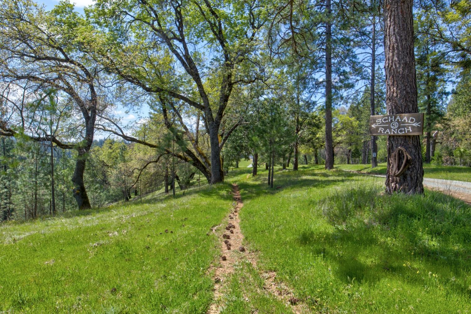Detail Gallery Image 6 of 99 For 7401 Schaad Rd, Wilseyville,  CA 95257 - 2 Beds | 2 Baths