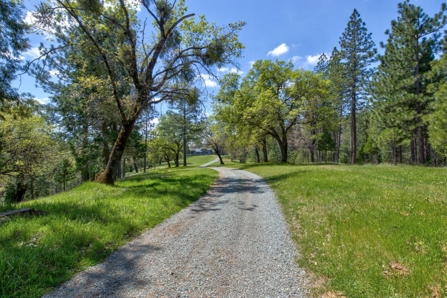 Detail Gallery Image 9 of 99 For 7401 Schaad Rd, Wilseyville,  CA 95257 - 2 Beds | 2 Baths