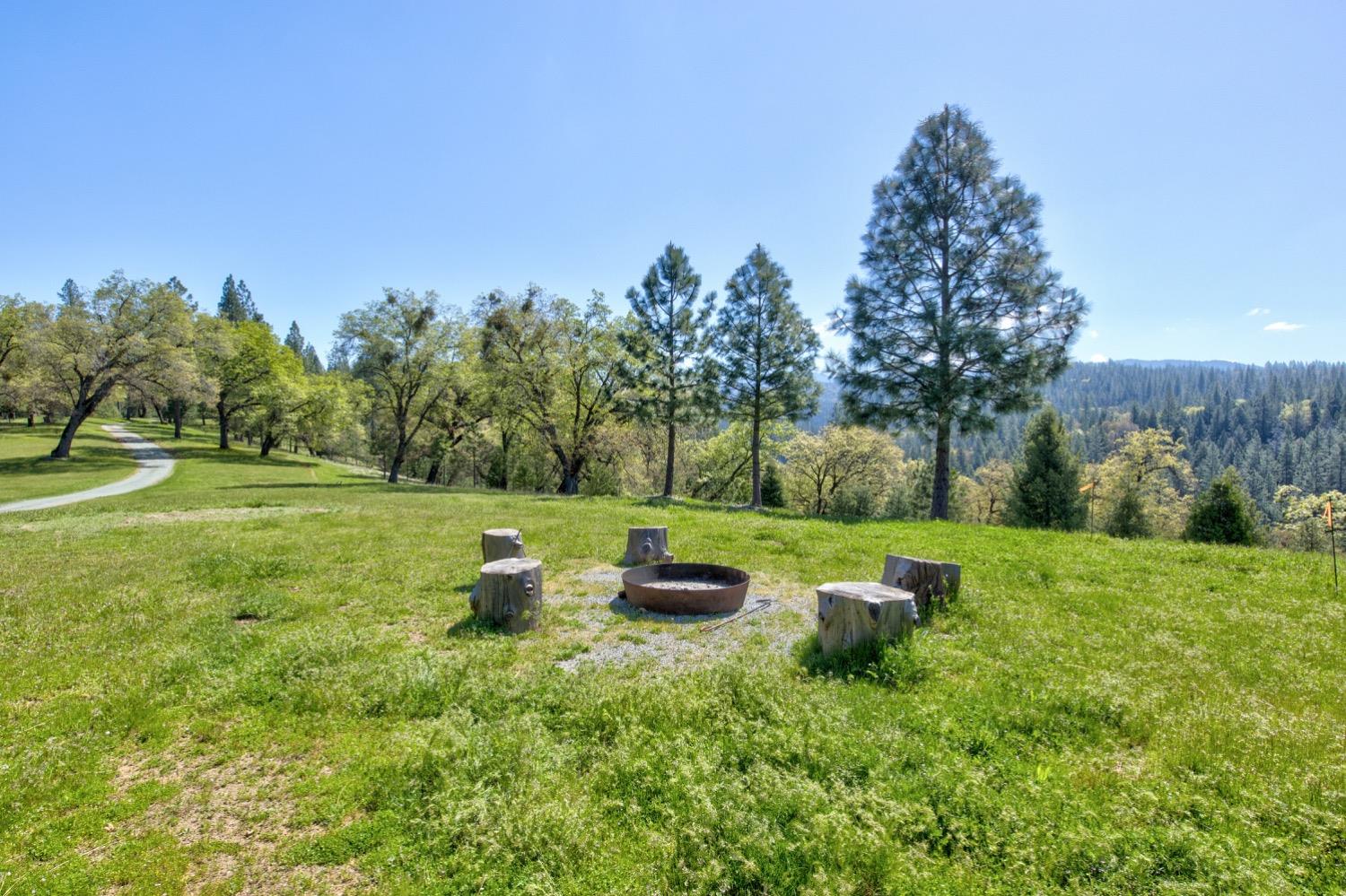 Detail Gallery Image 17 of 99 For 7401 Schaad Rd, Wilseyville,  CA 95257 - 2 Beds | 2 Baths